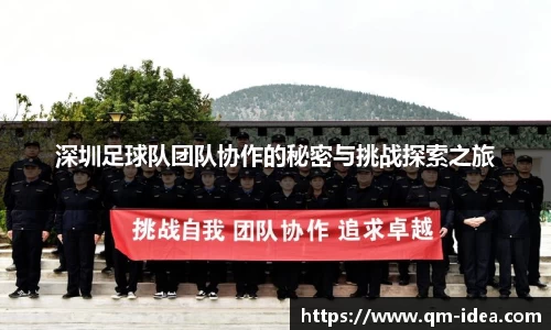 深圳足球队团队协作的秘密与挑战探索之旅