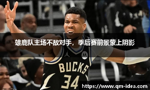 球速体育
