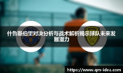 什鲁斯伯里对决分析与战术解析揭示球队未来发展潜力