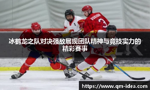 球速体育官方APP